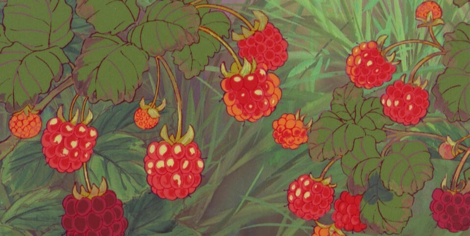 berries